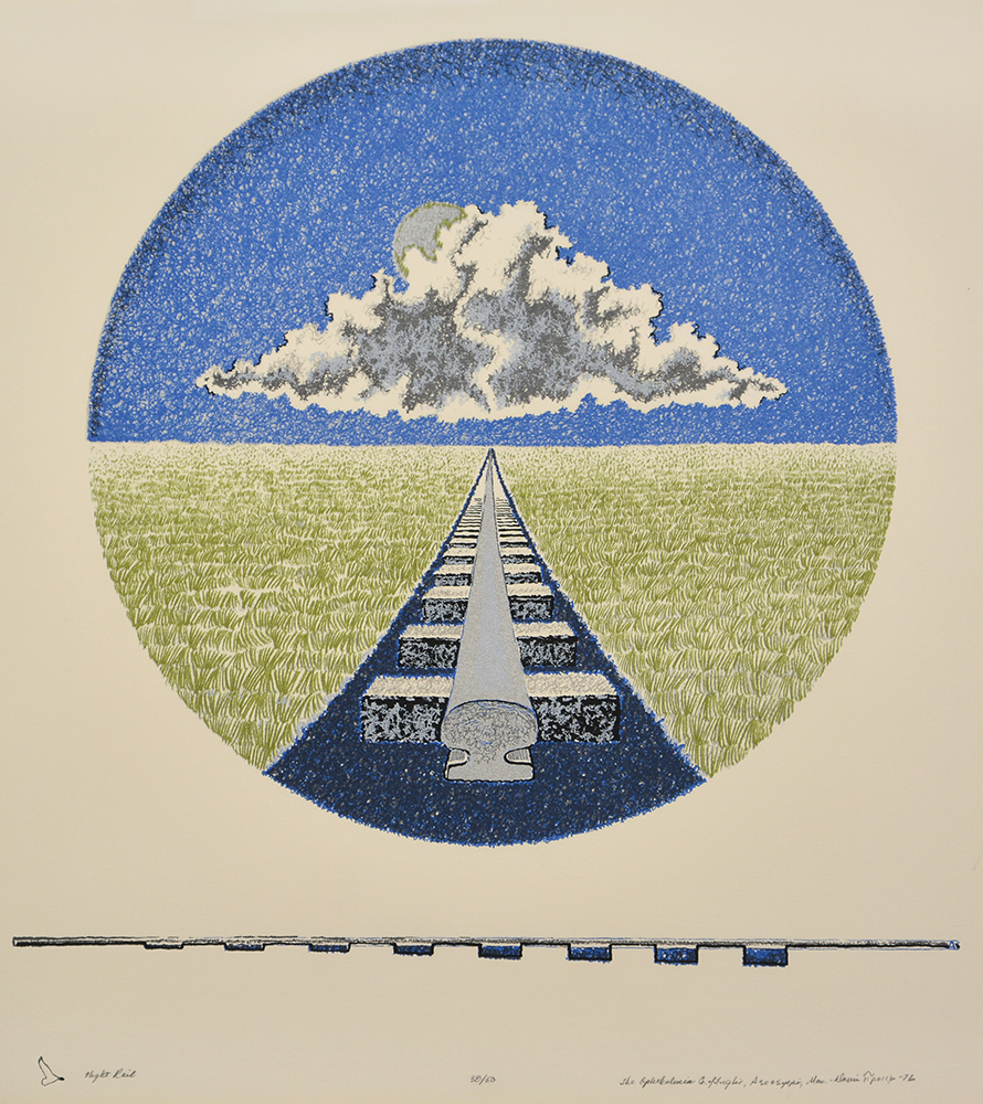 Single rail runs through a field