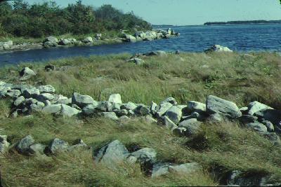 A dyke in Lawlor's Point