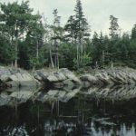 A Rock Face