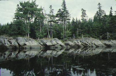 A strip of shale rock, positioned at an angle