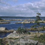Rocky Islands in the Estuary