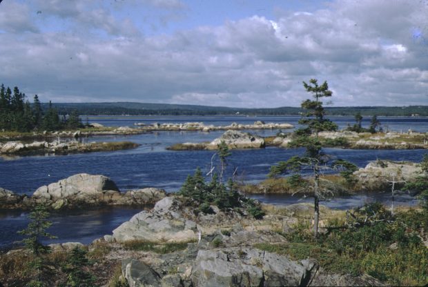 Rocky islands in Cole Harbour