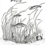 Marsh Fish