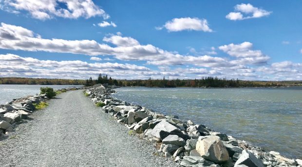 The Salt Marsh Trail and the harbour on a sunny day