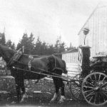 Market Wagon