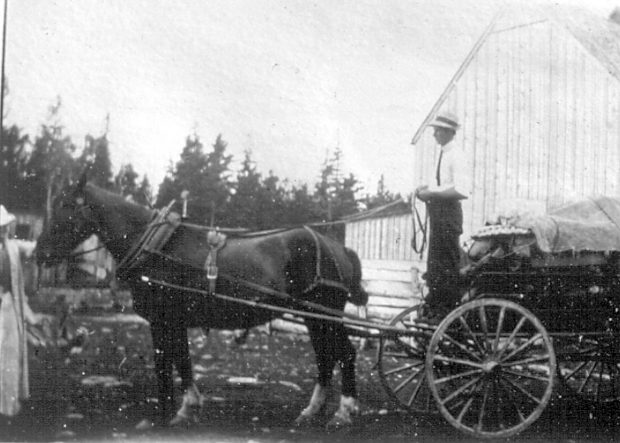 Seymour LaPierre stands with his horse and wagon