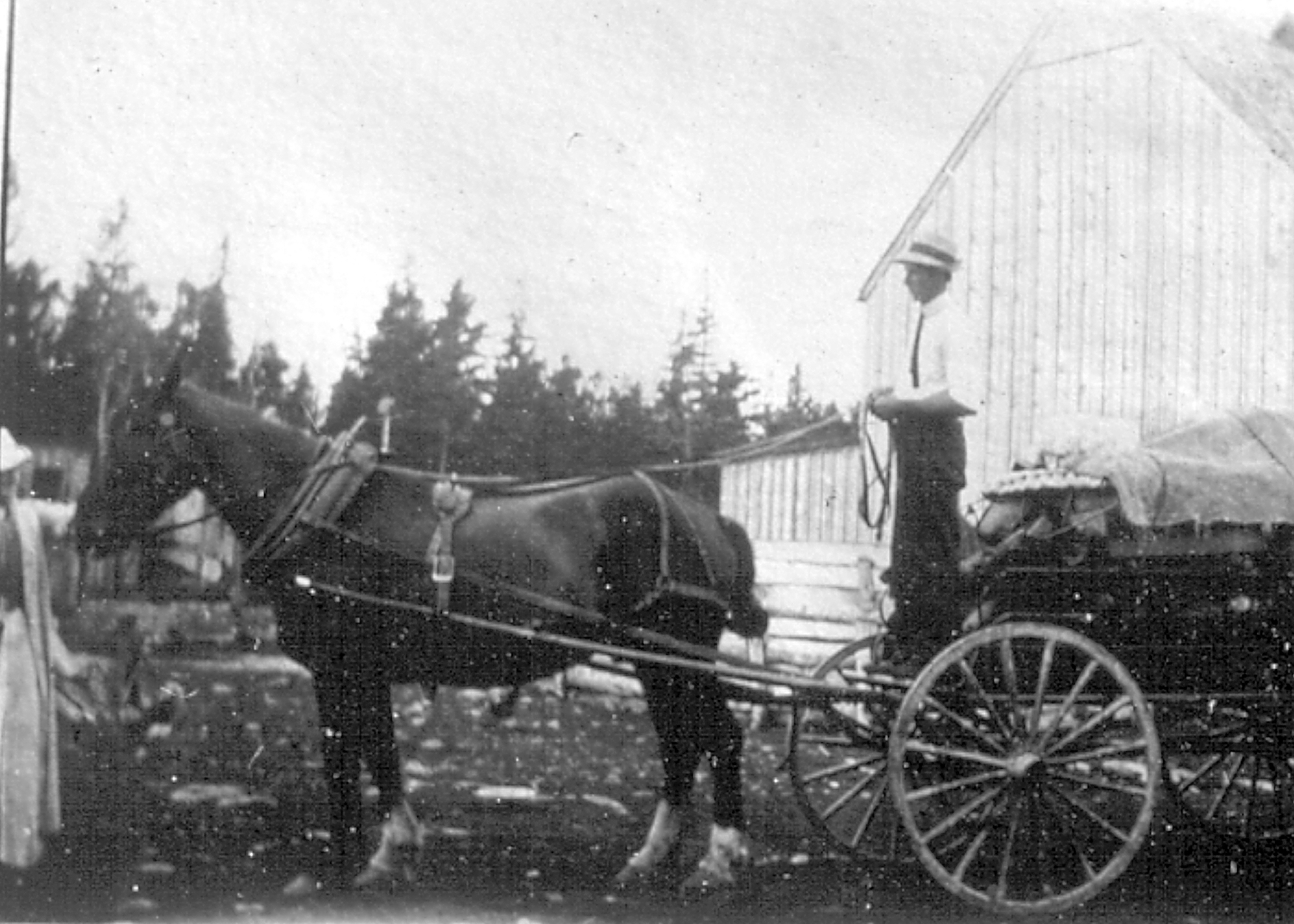 Seymour LaPierre stands with his horse and wagon
