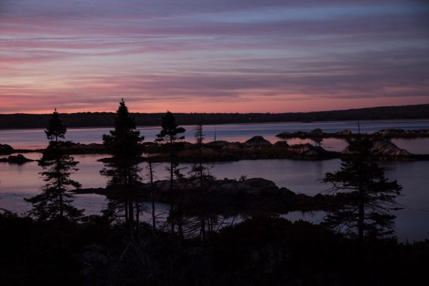 Small islands and trees in the Cole Harbour Salt Marsh at dusk