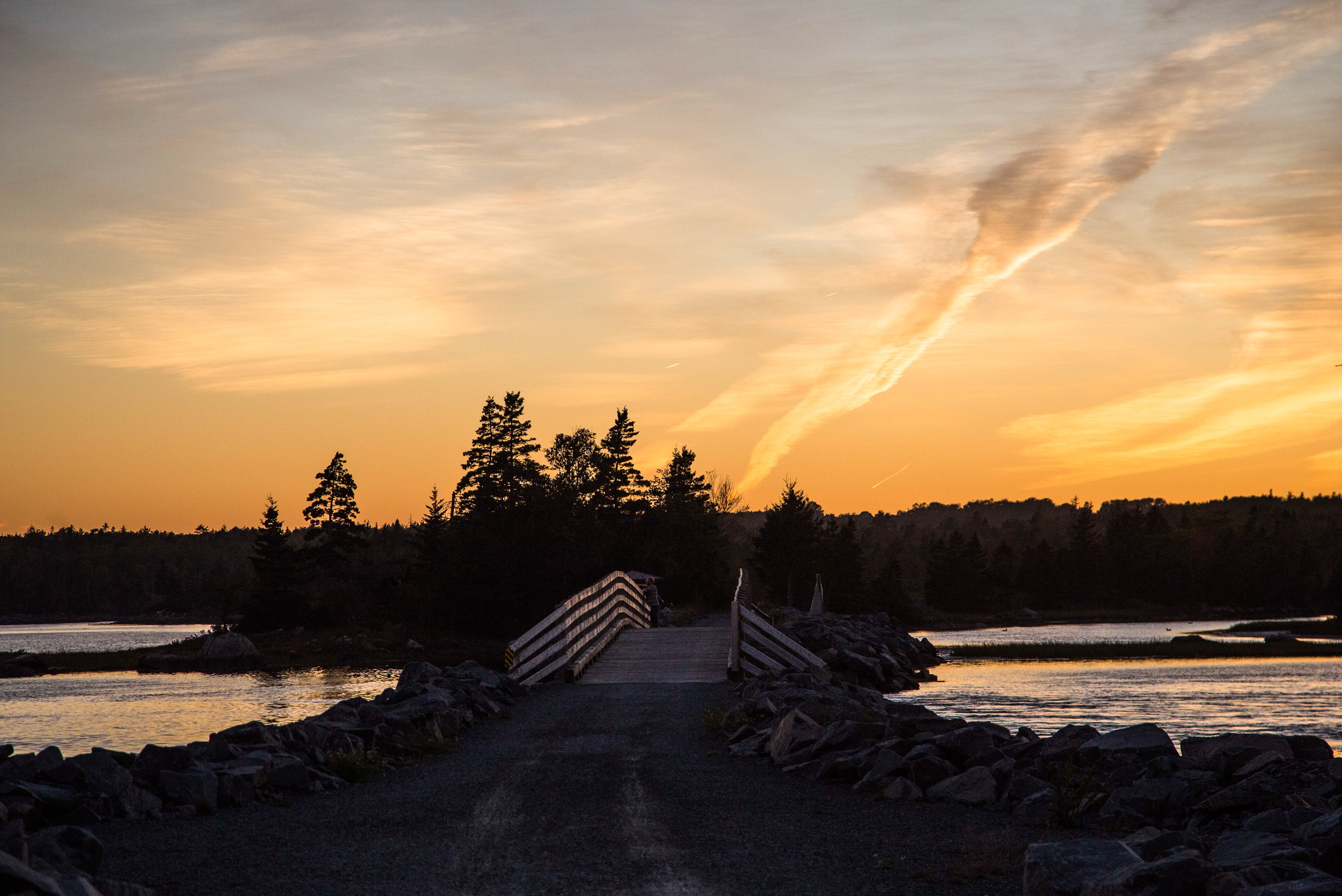 A bridge over water on the Salt Marsh Trail at sunset