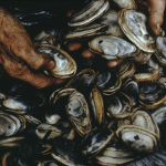 Digging for Clams