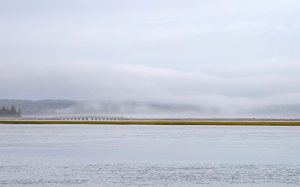 Pont surplombant le marais salé, enveloppé de brouillard