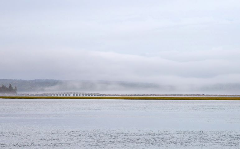 A bridge over the salt marsh and fog