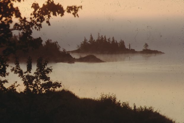 Mist on the Cole Harbour salt marsh