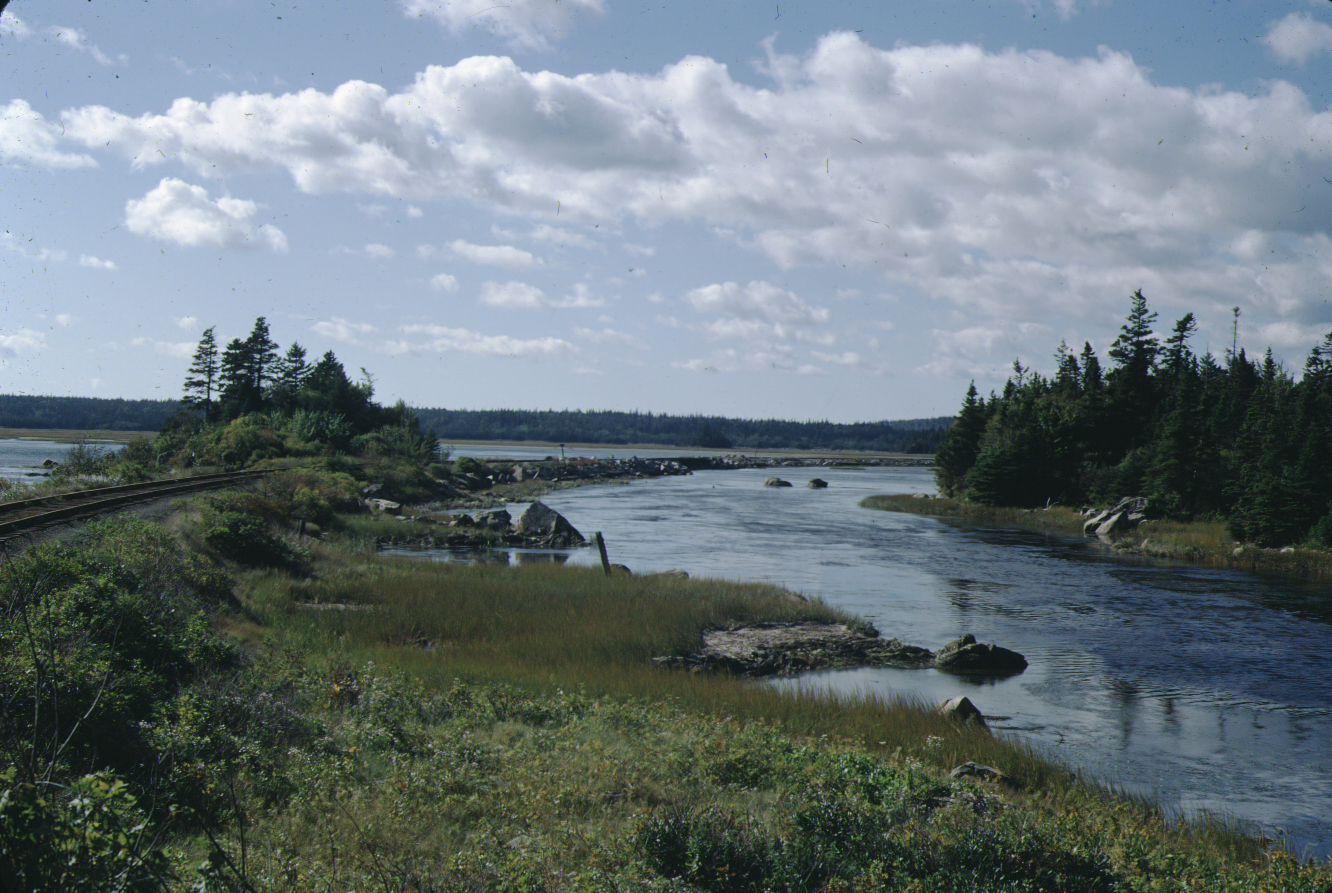 The CN causeway and the salt marsh