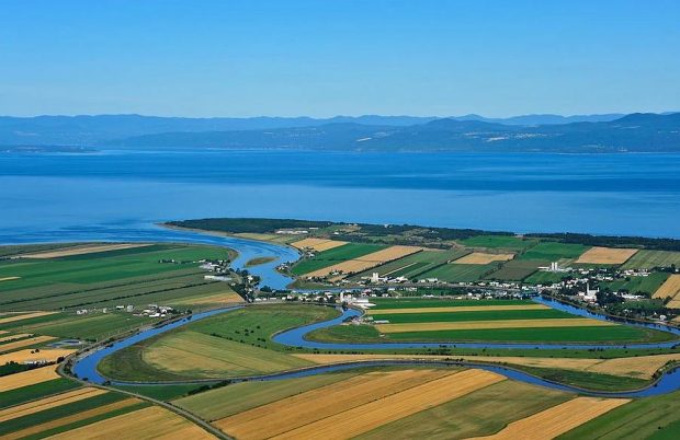 Aerial view of a river through fields
