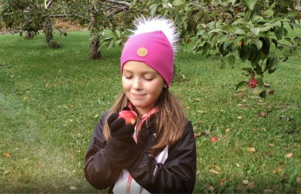 Little girl in an orchard holds an apple in her hands