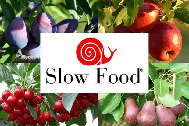 Slow Food Logo