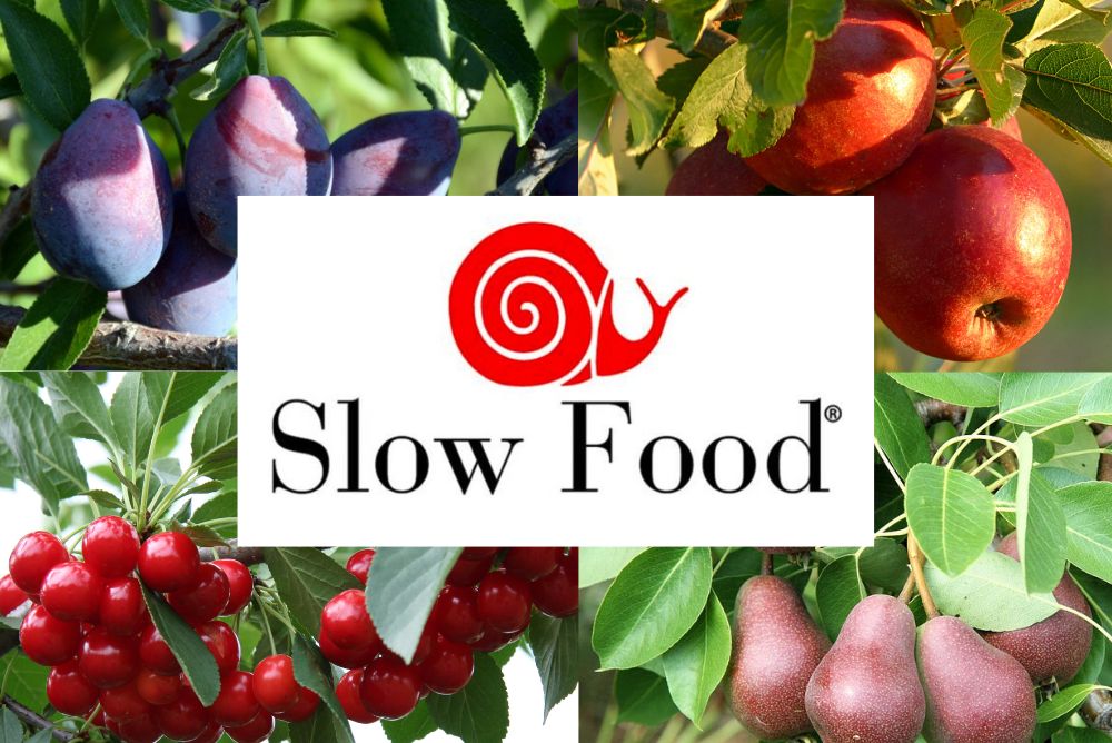 Slow Food Logo