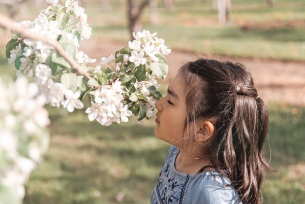 Girl smelling apple blossoms