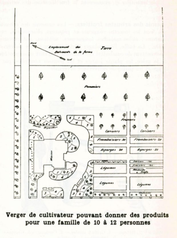 Plan for the development of a farmer's orchard