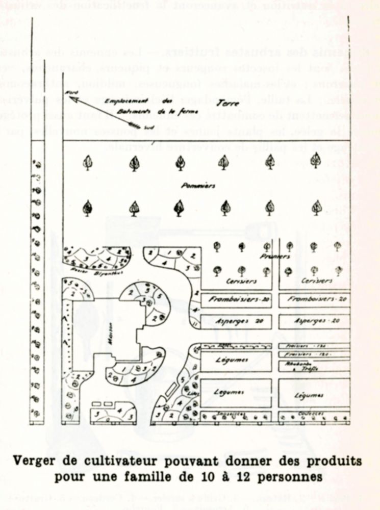Plan for the development of a farmer's orchard