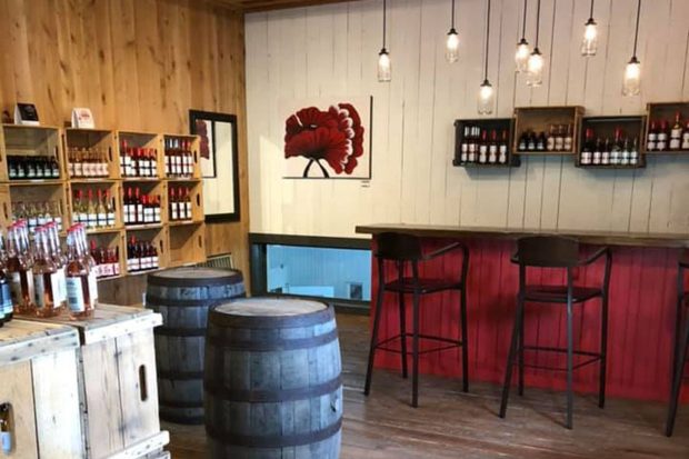 Cider shop and tasting