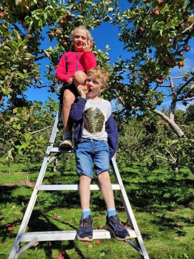 Two children on a ladder in an orchard an apple in hand