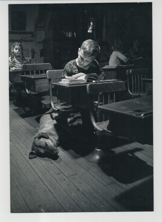 Child reading at desk with large dog at his feet. Little girl in braids behind him.