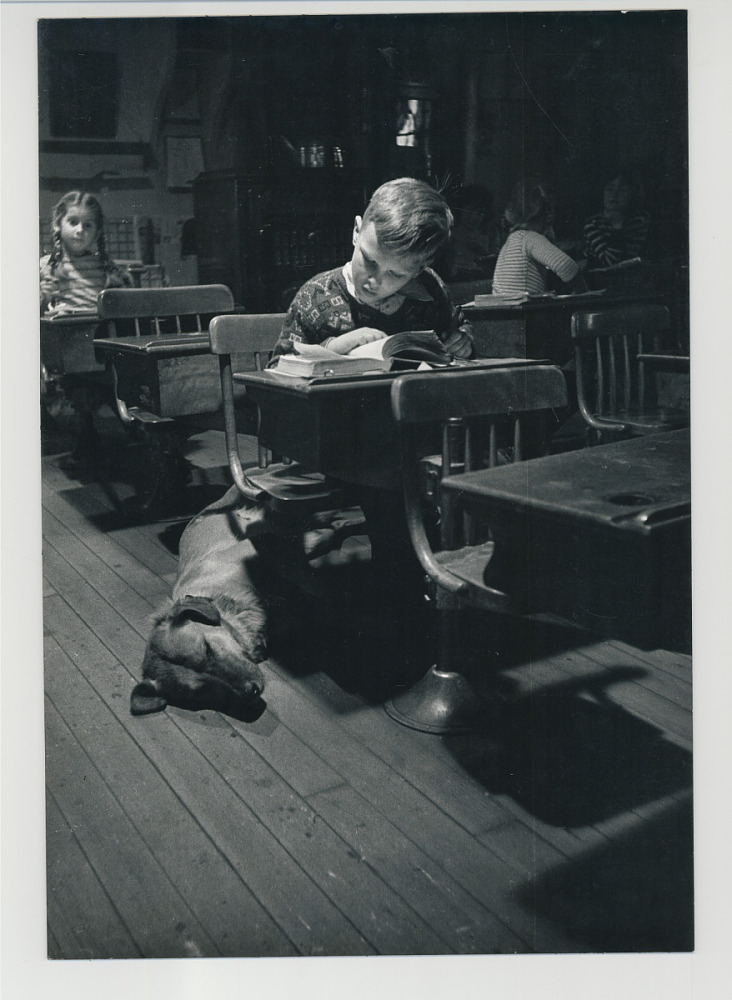Child reading at desk with large dog at his feet. Little girl in braids behind him.