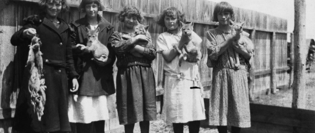 Five schoolgirls, with bobbed hair and mid length dresses, along a fence. Four are holding coyote pups, one is holding a string of snared gophers.