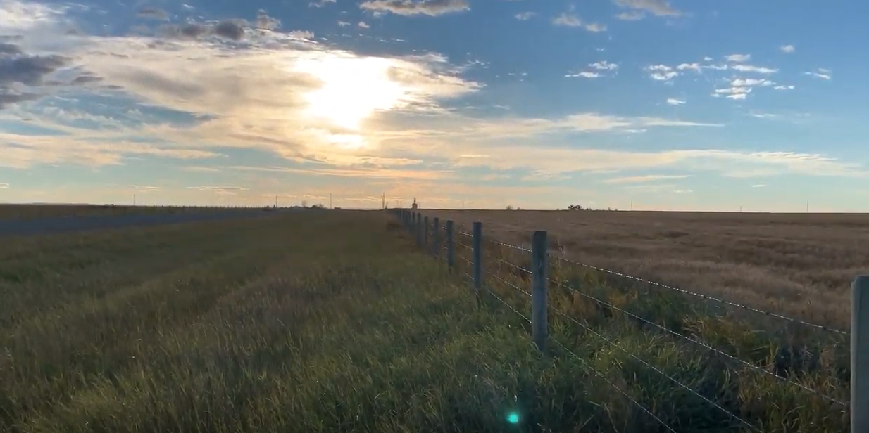 Flat grassland with a wire fence disappearing to the horizon