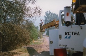 Man standing in a "cherry picker" bucket attached to a truck.