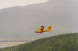 Yellow aircraft in flight above green forest. Hill in background.