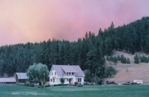 : Maison blanche avec autos, camions et une remorque pour chevaux tout près. Derrière les arbres le ciel est de couleur rosée à cause du feu.