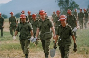 18 soldiers in green uniforms wearing hard hats and gloves carrying shovels, walking in grass.