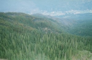 Aerial view of green forested hills.