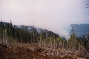 Fumée sur les collines.