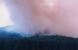 Incendie sur les collines d'une forêt.