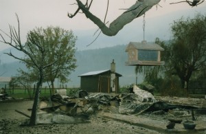 Mangeoire d'oiseaux suspendue à une branche, restes d'une maison incendiée en arrière-plan.