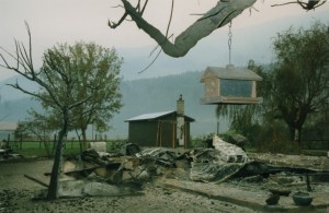 Bird feeder hangs from a branch, burned out shell of a house in the background.