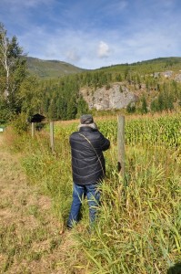 Photographer photographing scene.