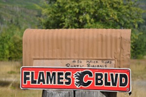 A rural mailbox with a sign attached reads "Flames Blvd."