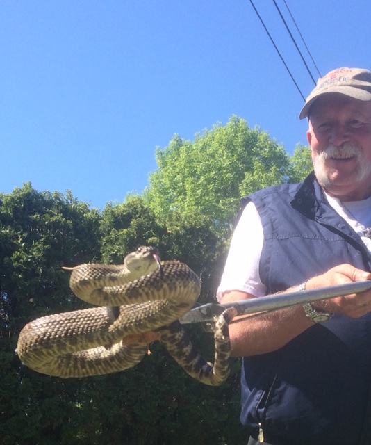 Man wearing a baseball cap smiles as he holds a snake with snake tongs.