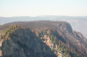 Vue d'une montagne après l'incendie.