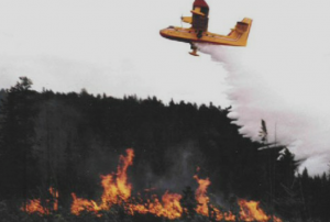 Aeroplane dropping fire retardant on a forest fire.