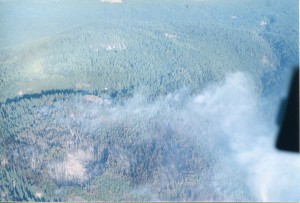 Vue aérienne de fumée et d'un incendie de forêt.