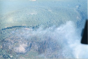 Pelletier in heli above fire