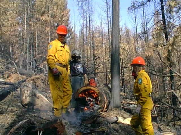 Men standing beside fallen tree burning.