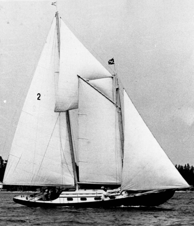 A black and white photo of the schooner, “Airlie” under full sail in the harbour. The “Airlie” is black with a white cabin, white sails and an identifying number 2 on the main sail of the 5 she is flying in the picture. Schooners like this one were used for fishing and were quickly adapted to accept the new make and break engines. Today they are used mainly as pleasure craft.