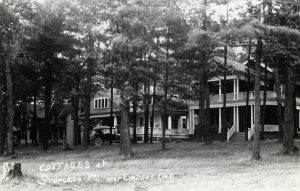 View of two cottages with trees in the foreground.